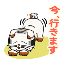 Calico cat Kumori sticker #1809937