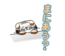 Calico cat Kumori sticker #1809953