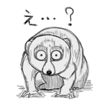 The daily life of Slow Loris sticker #1810048