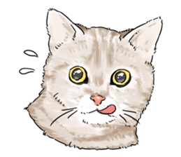 TEHEPERO Collection sticker #1811240