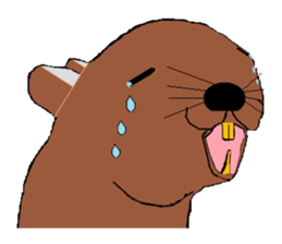 My degu sticker #1811565