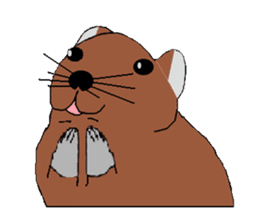 My degu sticker #1811573