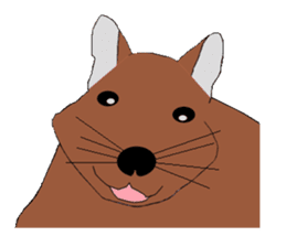 My degu sticker #1811575