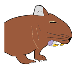 My degu sticker #1811581