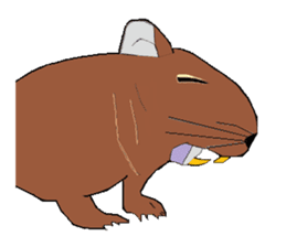 My degu sticker #1811581
