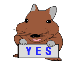 My degu sticker #1811584