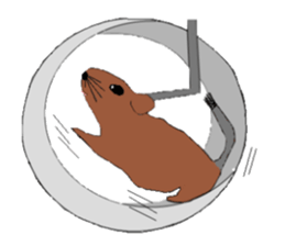 My degu sticker #1811594