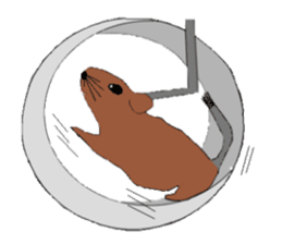 My degu sticker #1811594