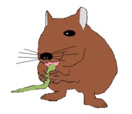 My degu sticker #1811596