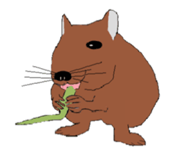My degu sticker #1811596