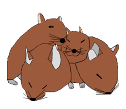 My degu sticker #1811599