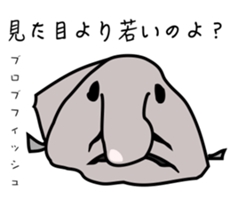 Funny creatures of the sea sticker #1812142