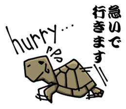 ZooSticker sticker #1815996