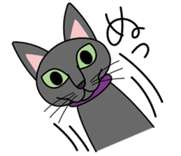 Cool Cat Seja sticker #1816681