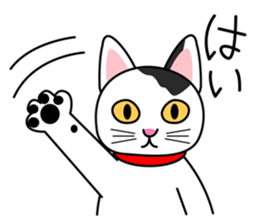 Cool Cat Seja sticker #1816693