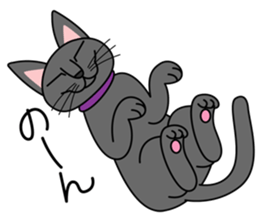 Cool Cat Seja sticker #1816695