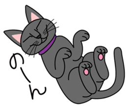 Cool Cat Seja sticker #1816695