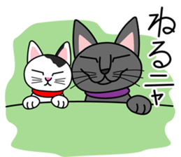 Cool Cat Seja sticker #1816699