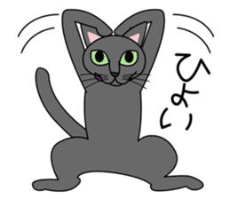 Cool Cat Seja sticker #1816704