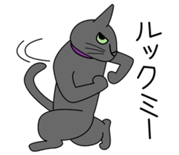 Cool Cat Seja sticker #1816705