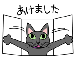 Cool Cat Seja sticker #1816710