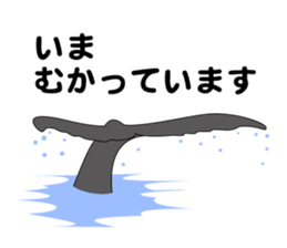 HUMPBACKS ALL OVER!! sticker #1817295