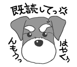 LOVE Miniature Schnauzer 2 sticker #1817982