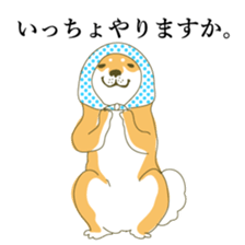 the Japanese dog KOUME sticker #1819042