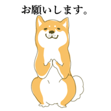 the Japanese dog KOUME sticker #1819043