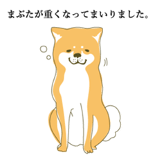 the Japanese dog KOUME sticker #1819059