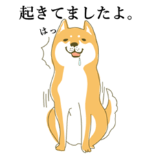 the Japanese dog KOUME sticker #1819060