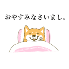 the Japanese dog KOUME sticker #1819061