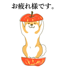 the Japanese dog KOUME sticker #1819062