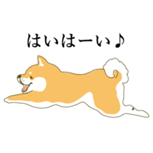the Japanese dog KOUME sticker #1819066