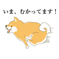 the Japanese dog KOUME sticker #1819069