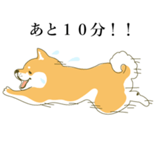 the Japanese dog KOUME sticker #1819070