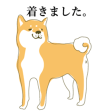 the Japanese dog KOUME sticker #1819072