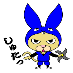 Rabbit cat Ninja
