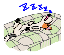 Fox Terrier named POPO sticker #1825038