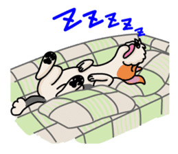 Fox Terrier named POPO sticker #1825038