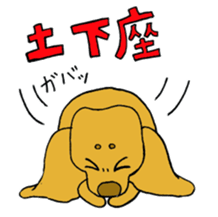 Dachshund AMEKO Sticker sticker #1825170