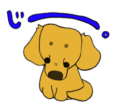 Dachshund AMEKO Sticker sticker #1825186