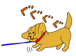 Dachshund AMEKO Sticker sticker #1825191