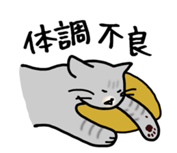 The capricious fat cat sticker #1825522