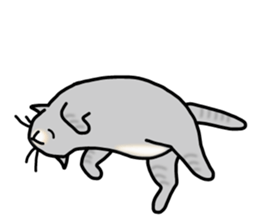 The capricious fat cat sticker #1825524