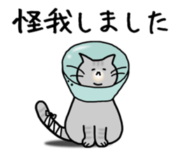 The capricious fat cat sticker #1825553