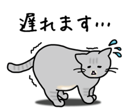 The capricious fat cat sticker #1825557