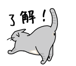 The capricious fat cat sticker #1825558