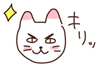 It's cool but indifferent cat sticker #1826150