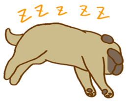 Masa-Q's PUG life sticker #1827740